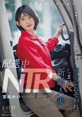 START-156 - 配送中NTR 既婚ベテランドライバーの配送に付いて回るうち車中でおそわれてしまった新婚人妻 宮島めい - 阿寶影音-成人影片,AV,JAV-專注精品‧長久經營